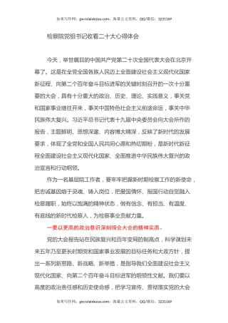 检察院党组书记收看二十大心得体会