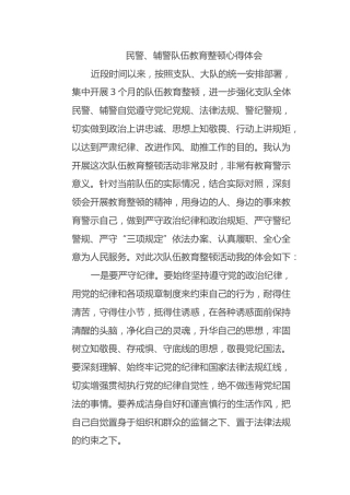 民警、辅警队伍教育整顿心得体会2