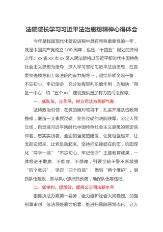 法院院长学习习近平法治思想精神心得体会
