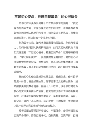 牢记初心使命，推进自我革命”的心得体会