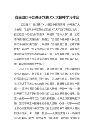 省民政厅干部关于党的二十大精神学习心得体会（盛会）