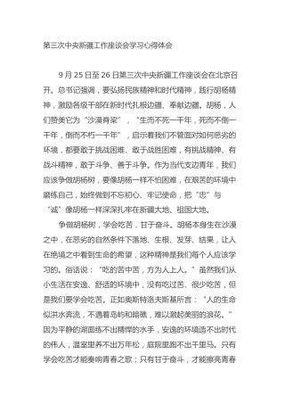 第三次中央新疆工作座谈会学习心得体会