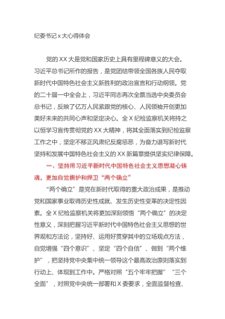 纪委书记二十大心得体会（盛会）