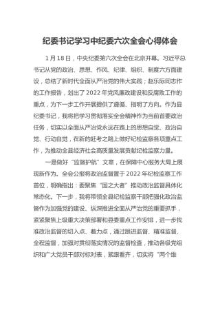 纪委书记学习中纪委六次全会心得体会