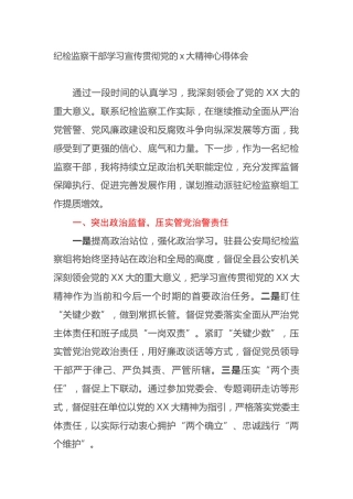 纪检监察干部学习宣传贯彻党的二十大精神心得体会（盛会） (2)