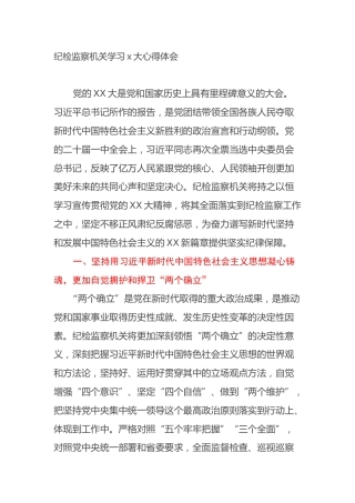 纪检监察机关学习二十大心得体会（盛会）