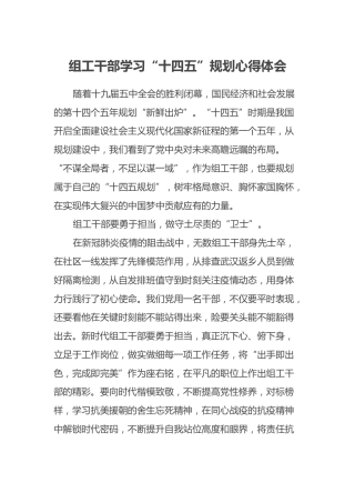 组工干部学习“十四五”规划心得体会