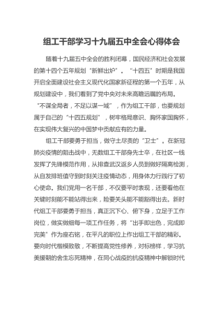 组工干部学习十九届五中全会心得体会