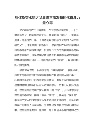 缅怀杂交水稻之父袁隆平激发新时代奋斗力量心得