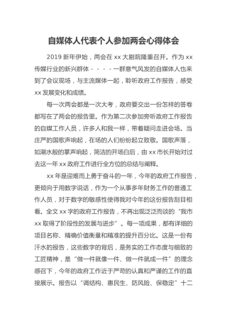 自媒体人代表个人参加两会心得体会