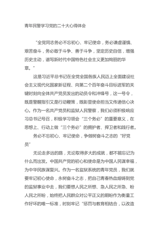 青年民警学习党的二十大心得体会（盛会）