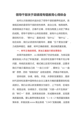 领导干部关于政绩观专题教育心得体会