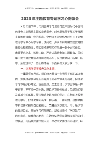 2023年主题教育专题学习心得体会