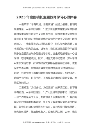 2023年度副镇长主题教育学习心得体会