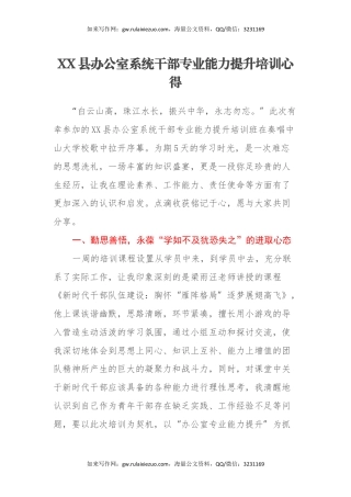 XX县办公室系统干部专业能力提升培训心得