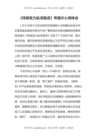 《持续发力 纵深推进》专题片心得体会