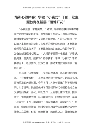 主题教育培训心得体会：学做“小麦式”干部，让主题教育在基层“落地开花”