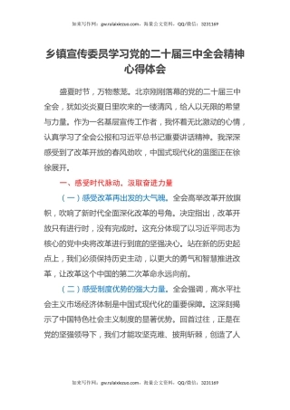 乡镇宣传委员学习党的二十届三中全会精神心得体会