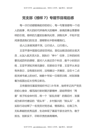 党支部《榜样7》专题节目观后感心得体会