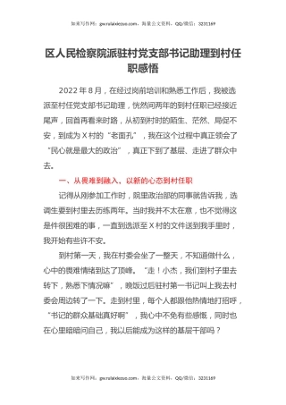 区人民检察院派驻村党支部书记助理到村任职感悟（心得体会）