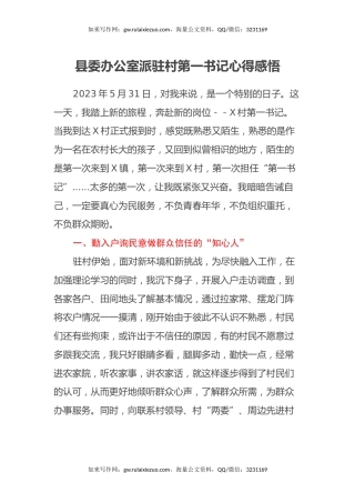 县委办公室派驻村第一书记心得感悟