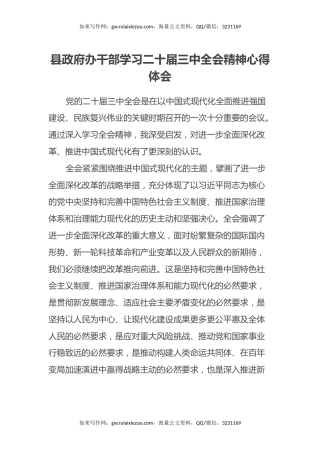 县政府办干部学习二十届三中全会精神心得体会