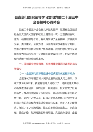 县直部门副职领导学习贯彻党的二十届三中全会精神心得体会