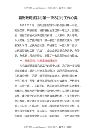 县财政局派驻村第一书记驻村工作心得