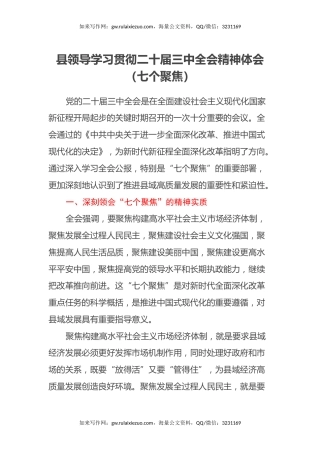 县领导学习贯彻二十届三中全会精神体会（七个聚焦）