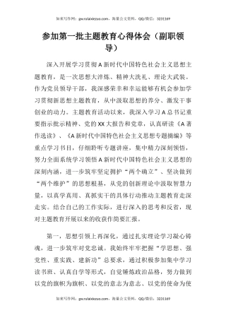 参加第一批主题教育心得体会（副职领导）
