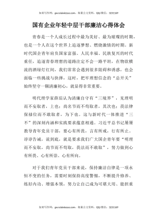 国有企业年轻中层干部廉洁心得体会