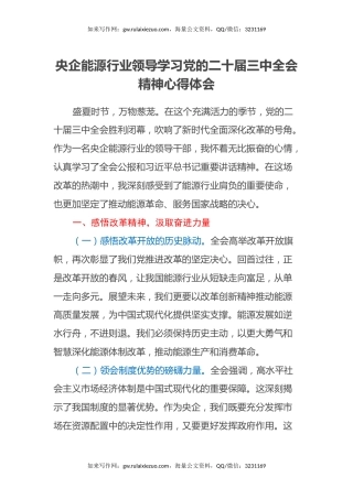 央企能源行业领导学习党的二十届三中全会精神心得体会