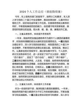 2024个人工作总结（德能勤绩廉）