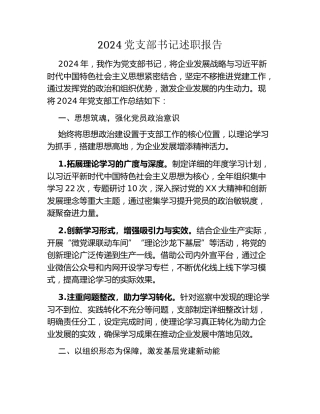 2024党支部书记述职报告