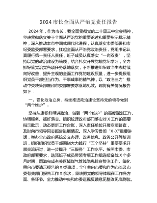 2024市长全面从严治党责任报告