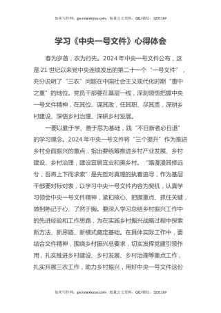 学习《中央一号文件》心得体会