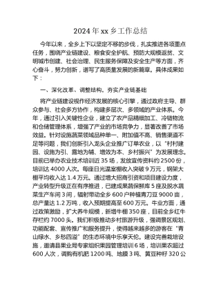 2024年xx乡工作总结