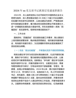 2024年xx党支部书记抓基层党建述职报告