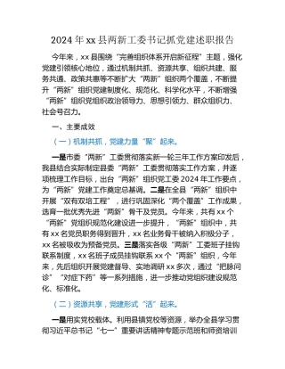 2024年xx县两新工委书记抓党建述职报告