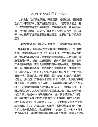 2024年XX政府工作总结