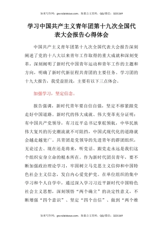 学习中国共产主义青年团第十九次全国代表大会报告心得体会