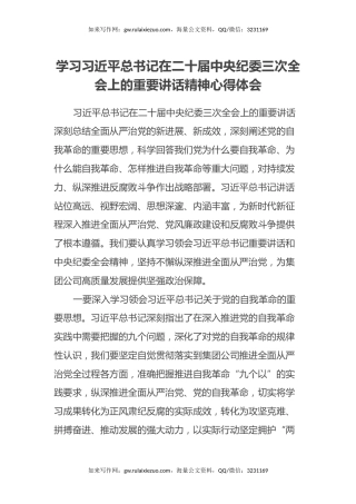 学习习近平总书记在二十届中央纪委三次全会上的重要讲话精神心得体会