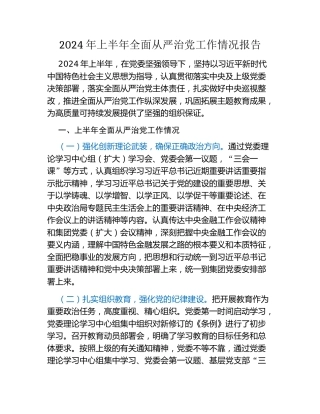 2024年上半年全面从严治党工作情况报告