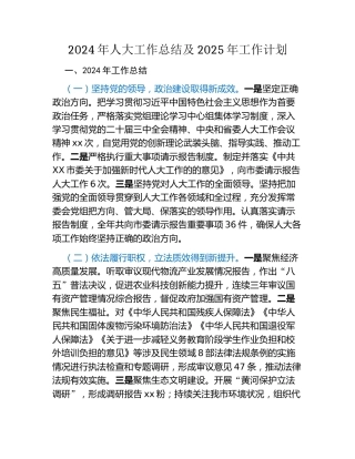 2024年人大工作总结及2025年工作计划