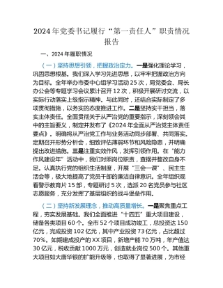 2024年党委书记履行“第一责任人”职责情况报告