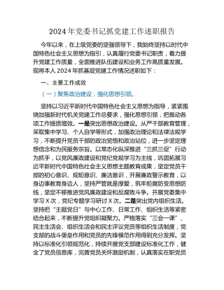 2024年党委书记抓党建工作述职报告