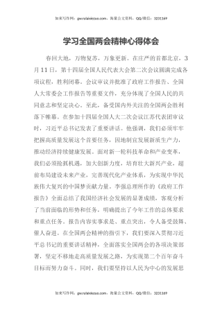 学习全国两会精神心得体会（3）