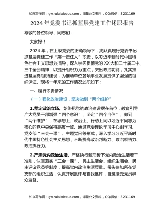 2024年党委书记抓基层党建工作述职报告 (3)