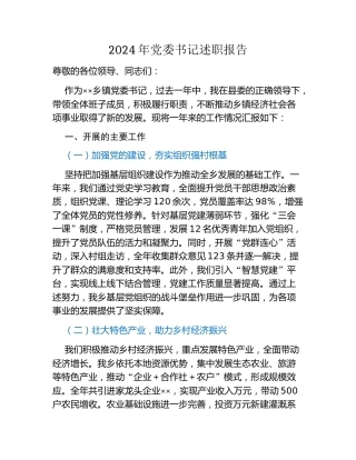 2024年党委书记述职报告
