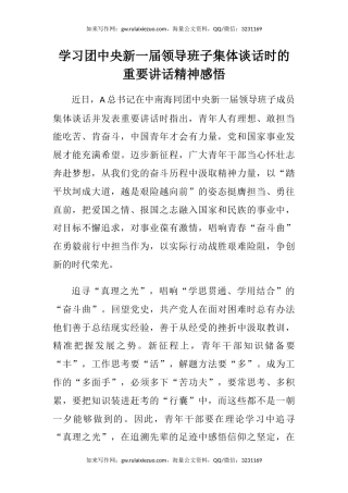 学习团中央新一届领导班子集体谈话时的重要讲话精神感悟（心得体会）